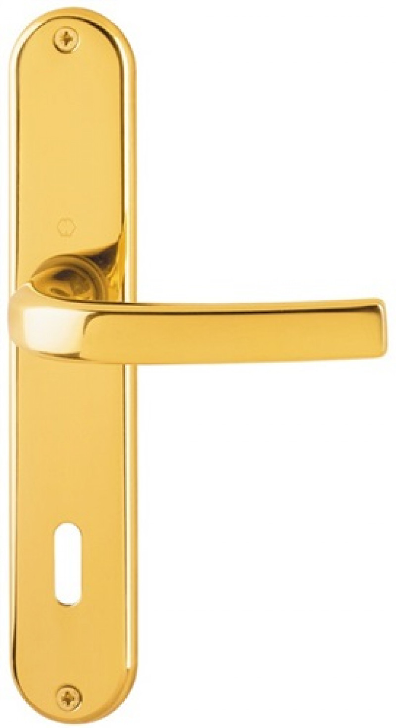 Langschildgarnitur Cervina M191/322 MS F71 OB 72mm DIN L/R Langschildgarnitur Cervina M191/322 MS F71 OB 72mm DIN L/R