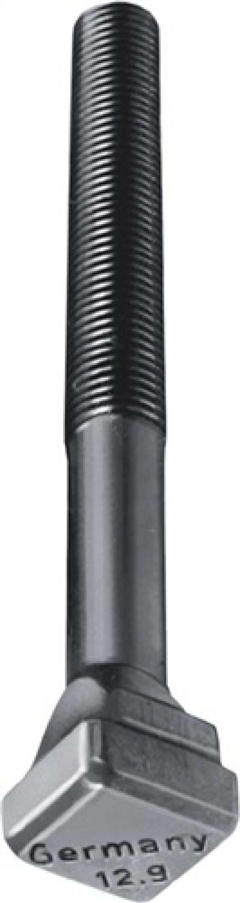 T-Nutenschraube DIN787 9 M12x14x160 vergütet auf 12.9 AMF T-Nutenschraube DIN787 9 M12x14x160 vergütet auf 12.9 AMF