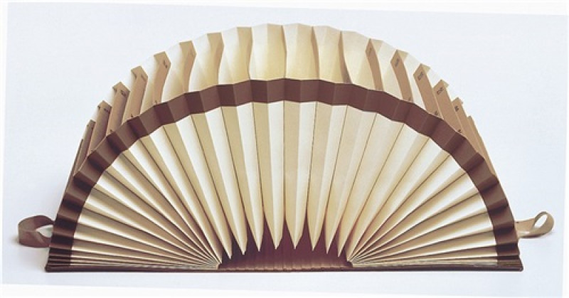 Leitz Vorordner 56050000 DIN A4 20 Fächer A-Z braun Leitz Vorordner 56050000 DIN A4 20 Fächer A-Z braun