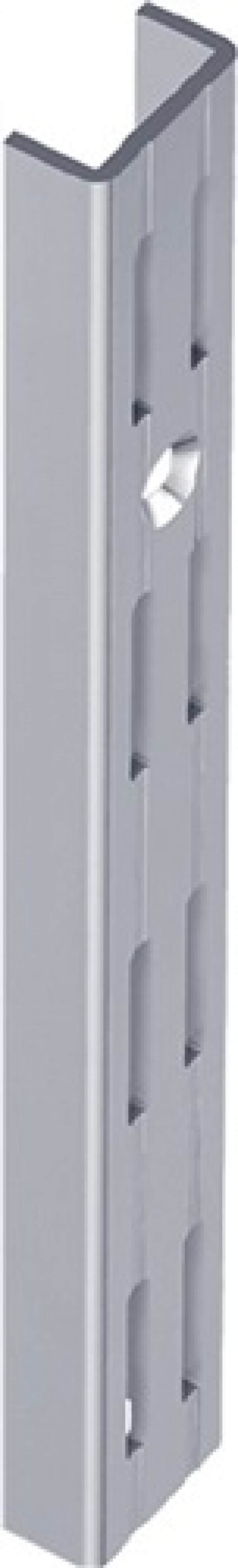 Wandsch. L.2000mm weißaluminum STA zweireihige Lochung Wandsch. L.2000mm weißaluminum STA zweireihige Lochung