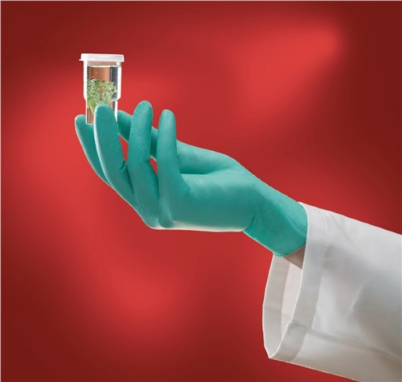 Einweghandschuhe NeoTouch 25-101 Gr.8 1/2-9 hellgrün Neopren EN 374 Kat.III Einweghandschuhe NeoTouch 25-101 Gr.8 1/2-9 hellgrün Neopren EN 374 Kat.III