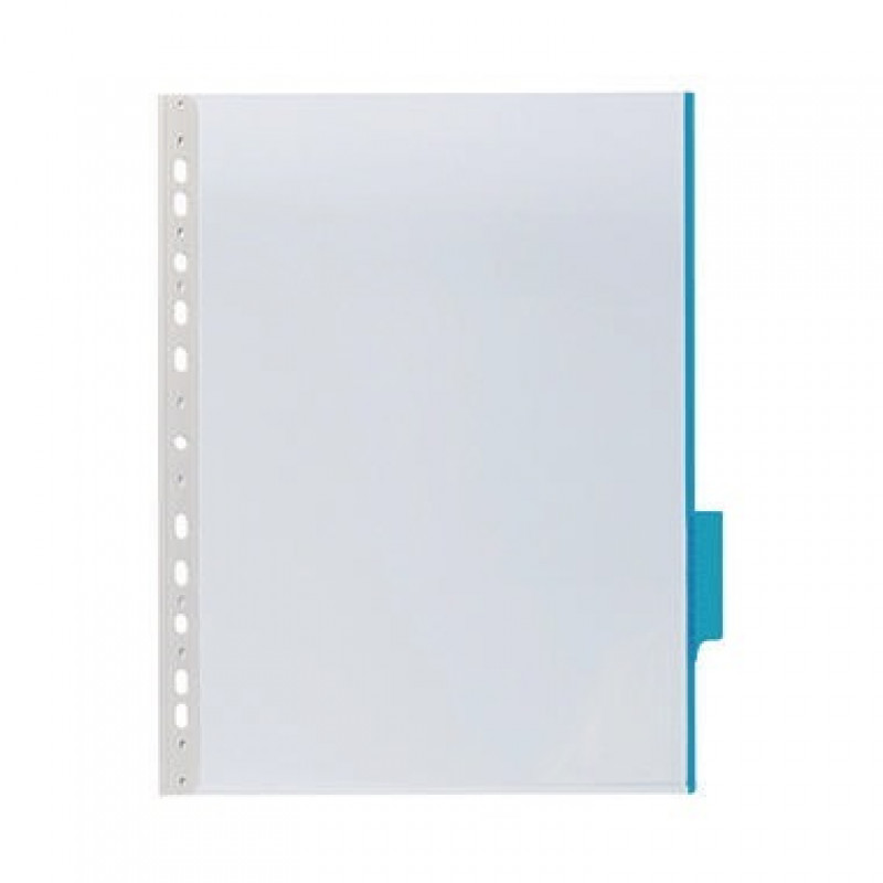 DURABLE Sichttafel FUNCTION panel 560706 DIN A4 Hartfolie blau DURABLE Sichttafel FUNCTION panel 560706 DIN A4 Hartfolie blau