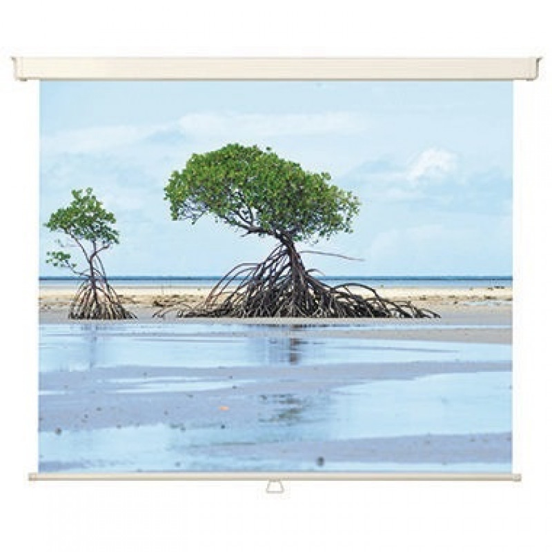 Medium Rolloleinwand Universal 1925871 183x183cm weiß Medium Rolloleinwand Universal 1925871 183x183cm weiß