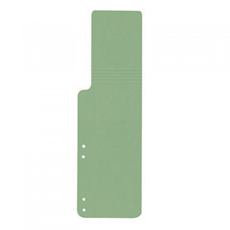 Trennstreifen 9039752 10x32cm 320g Karton grün