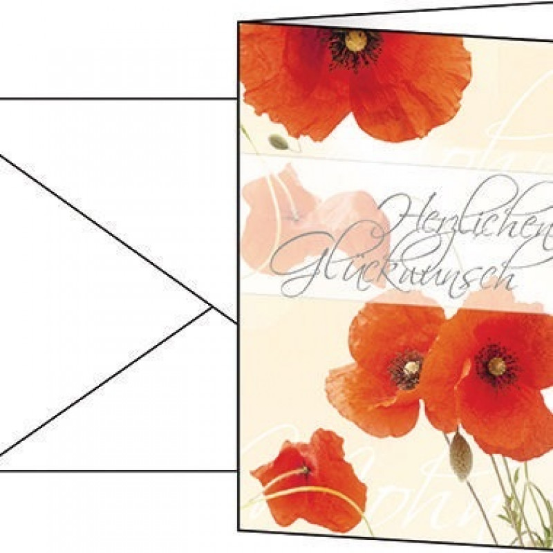 Sigel Motivkarte Red Poppies DS003 115x170mm 10 St./Pack. +Umschläge Sigel Motivkarte Red Poppies DS003 115x170mm 10 St./Pack. +Umschläge