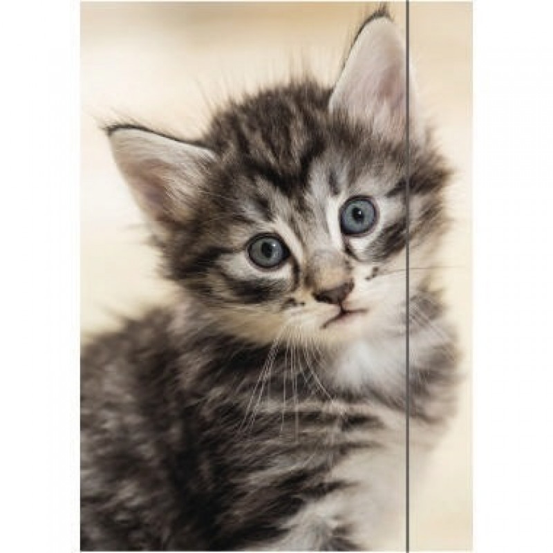 RNK Zeichenmappe Cute Cat 4510 DIN A3 RNK Zeichenmappe Cute Cat 4510 DIN A3
