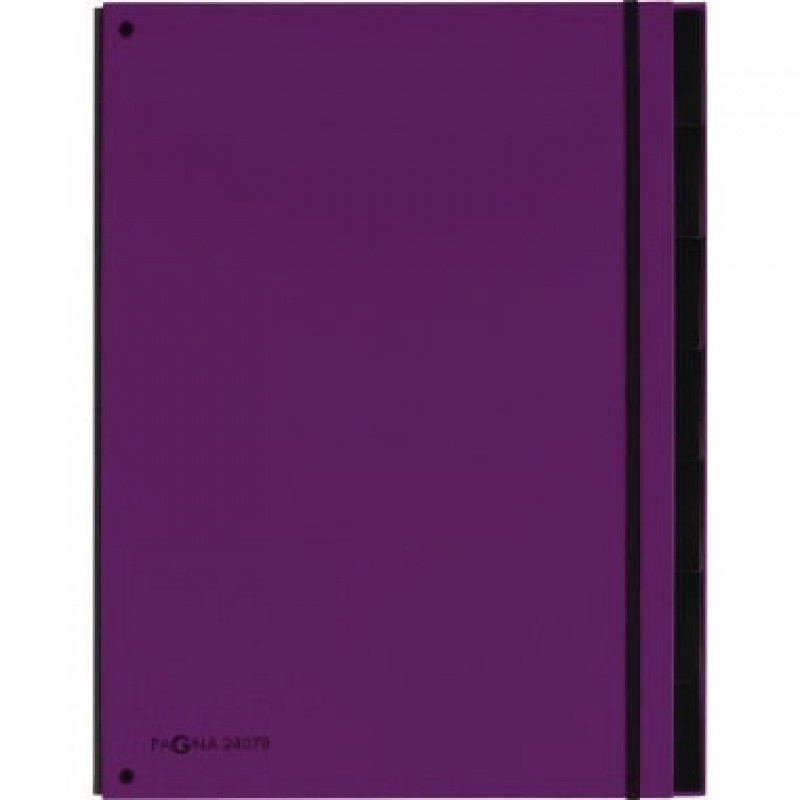 PAGNA Pultordner Trend 24079-12 7-teilig 3Schaulöcher lila PAGNA Pultordner Trend 24079-12 7-teilig 3Schaulöcher lila