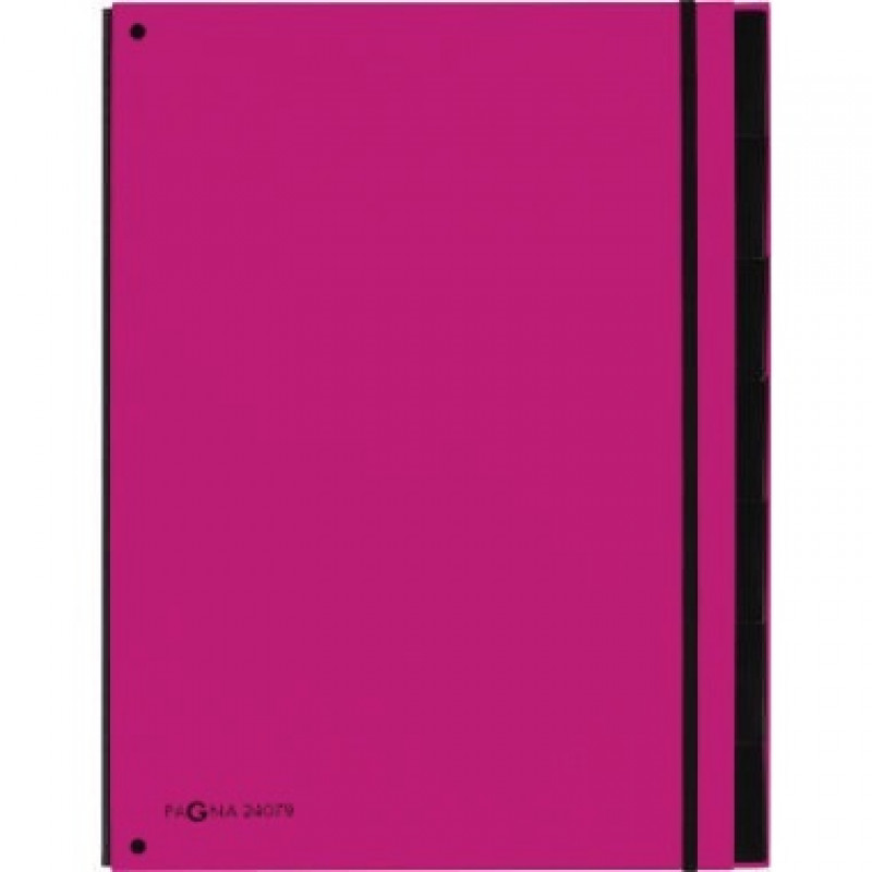 PAGNA Pultordner Trend 24079-34 7-teilig 3Schaulöscher dunkelrosa PAGNA Pultordner Trend 24079-34 7-teilig 3Schaulöscher dunkelrosa