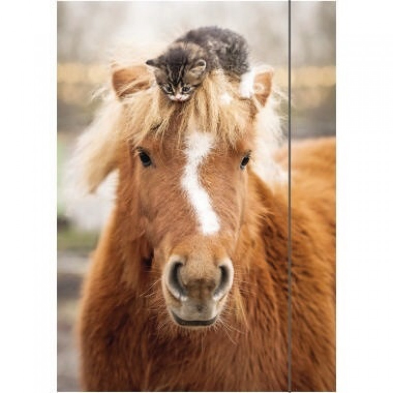 RNK Zeichenmappe Pferd 45306 DIN A3 310x440mm Gummizug Karton RNK Zeichenmappe Pferd 45306 DIN A3 310x440mm Gummizug Karton