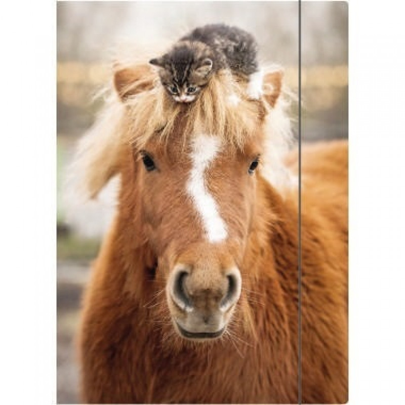 RNK Zeichenmappe Pferd 46306 DIN A4 240x330mm Gummizug Karton RNK Zeichenmappe Pferd 46306 DIN A4 240x330mm Gummizug Karton