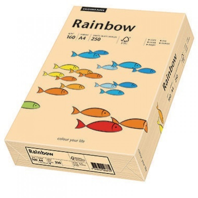 Rainbow Kopierpapier 88042505 A4 160g lachs 250 Bl./Pack. Rainbow Kopierpapier 88042505 A4 160g lachs 250 Bl./Pack.
