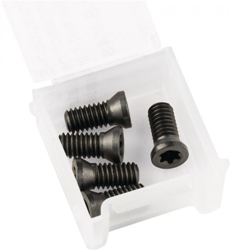 Schraubenset ALUMASTER® 5-tlg.PFERD Schraubenset ALUMASTER® 5-tlg.PFERD