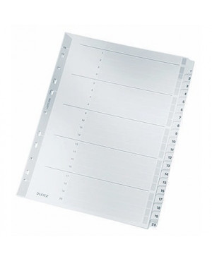 Leitz Register 43260000 DIN A4 1-20 volle Höhe 160g Karton grau