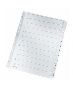 Leitz Register 43250000 DIN A4 1-12 volle Höhe 160g Karton grau