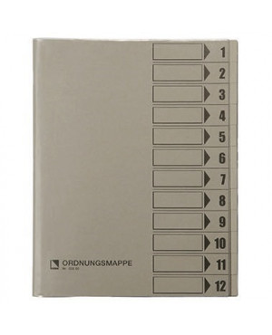 Bene Ordnungsmappe 083800GR DIN A4 12Fächer PVC grau