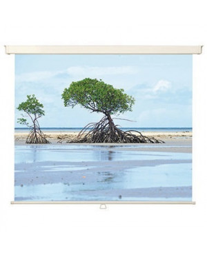 Medium Rolloleinwand Universal 1925871 183x183cm weiß