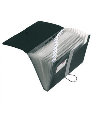 Herlitz Fächermappe easy orga to go 11208394 DIN A4 12Fächer PP schwarz