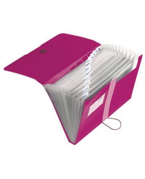 Herlitz Fächermappe easy orga to go 11217114 DIN A4 12Fächer PP beere