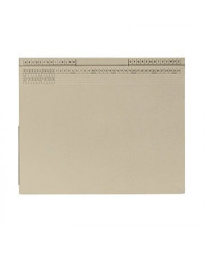 Hängehefter 9039794 26,5x31,6cm Rechts/Linksheftung Karton grau