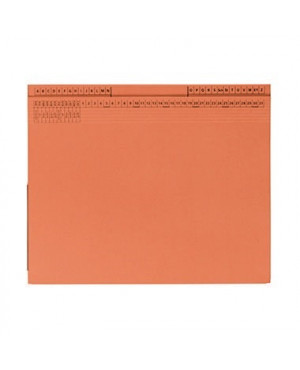 Hängehefter 9039799 26,5x31,6cm Rechts/Linksheftung Karton orange