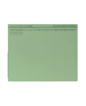 Hängehefter 9039797 26,5x31,6cm Rechts/Linksheftung Karton grün