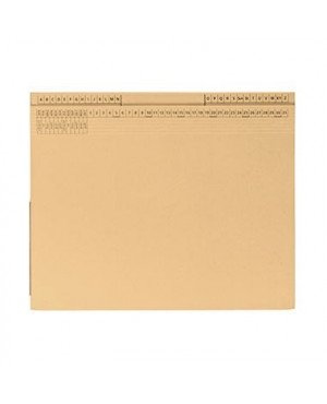 Hängehefter 9039798 26,5x31,6cm Rechts/Linksheftung Karton chamois