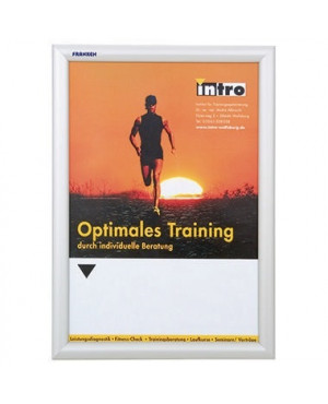 Franken Wechselrahmen Outdoor BS1702 32,7x45x1,2cm transparent