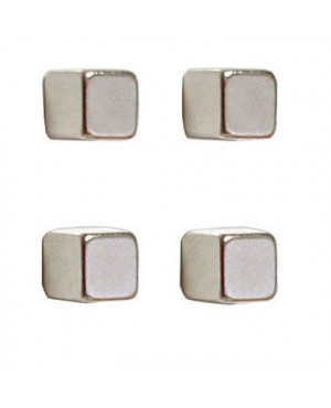 Franken Magnet Würfel HMN1010 10x10mm silber 4 St,./Pack.