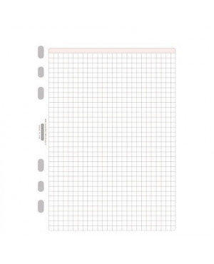 Chronoplan Notizen 50304 DIN A5 kariert 50 Bl./Pack.