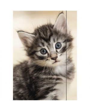 RNK Zeichenmappe Cute Cat 4510 DIN A3