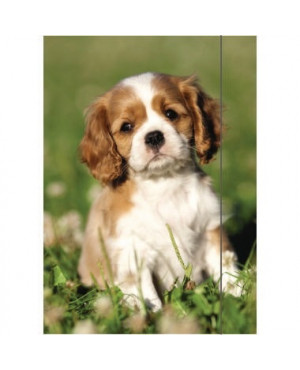 RNK Zeichenmappe Sweet Dog 4511 DIN A3