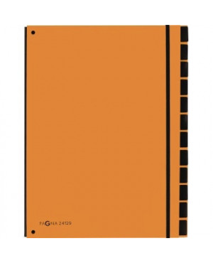 PAGNA Pultordner 24129-09 34x26,5x2cm 12Fächer orange
