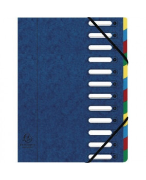 Exacompta Ordnungsmappe Harmonika 55122E DIN A4 12Fächer blau