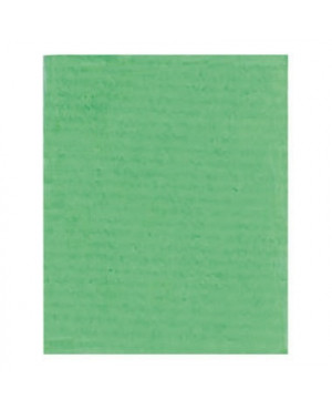 Clairefontaine Geschenkpapier 95721C 70cmx3m knospengrün