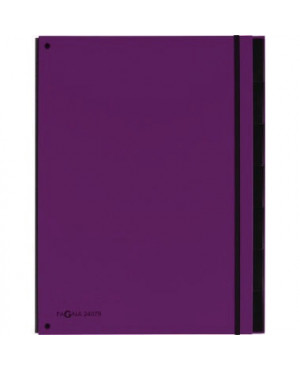 PAGNA Pultordner Trend 24079-12 7-teilig 3Schaulöcher lila