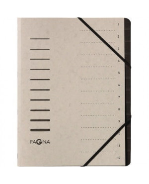 Pagna Ordnungsmappe 40059-21 DIN A4 12Fächer Pressspan h.grau