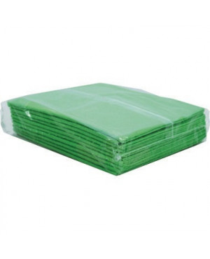 Allzwecktuch Vlies 38x38cm grün 10 St./Pack.