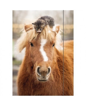 RNK Zeichenmappe Pferd 45306 DIN A3 310x440mm Gummizug Karton