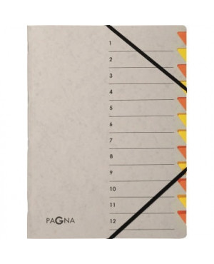 Pagna Ordnungsmappe Easy Grey 44312-12 12 Fächer orange