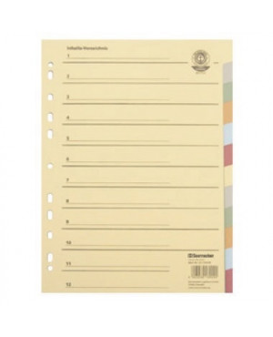 Soennecken Register 1523 DIN A4 blanko volle Höhe Recycling farbig