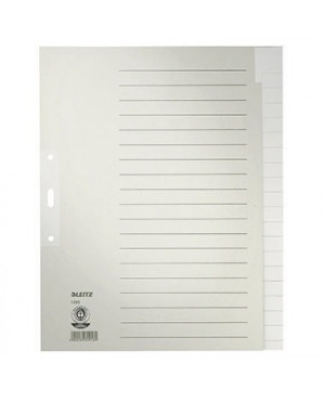 Leitz Register 12200085 blanko DIN A4 20teilig Papier grau