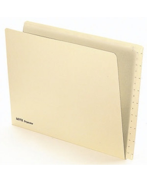 Leitz Einstellmappe Orgacolor 24320011 DIN A4 260g Karton chamois