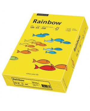 Rainbow Kopierpapier 88042392 A4 120g intensivgelb 250 Bl./Pack.