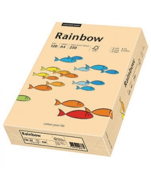Rainbow Kopierpapier 88042502 A4 120g lachs 250 Bl./Pack.