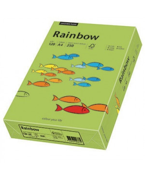 Rainbow Kopierpapier 88042656 A4 120g grün 250 Bl./Pack.