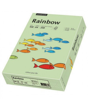 Rainbow Kopierpapier 88042637 A4 160g mittelgrün 250 Bl./Pack.