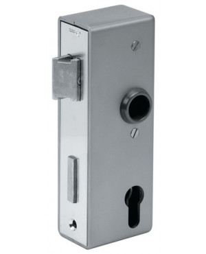 Schlosskasten,schmal 141U,blk DIN L/R Maß A30xB60xC172mm Dornm.40mm Entf.72mm