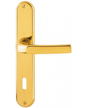 Langschildgarnitur Cervina M191/322 MS F49 OB 72mm DIN L/R