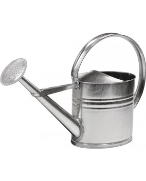 Gießkanne 10l silber MET verz.