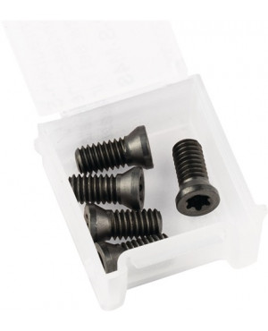Schraubenset ALUMASTER® 5-tlg.PFERD